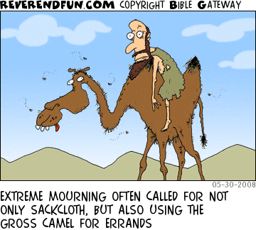 DESCRIPTION: Man in sackcloth riding a nasty looking camel CAPTION: EXTREME MOURNING OFTEN CALLED FOR NOT ONLY SACKCLOTH, BUT ALSO USING THE GROSS CAMEL FOR ERRANDS