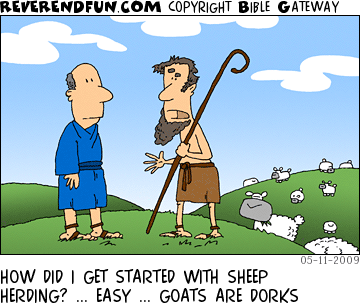 DESCRIPTION: Shepherd talking to non-shepherd out in the fields CAPTION: HOW DID I GET STARTED WITH SHEEP HERDING? ... EASY ... GOATS ARE DORKS