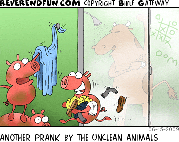 DESCRIPTION: Pigs stealing a cow's clothes and towel while showering CAPTION: ANOTHER PRANK BY THE UNCLEAN ANIMALS