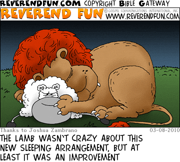 DESCRIPTION: A lion using a lamb for a pillow CAPTION: THE LAMB WASN’T CRAZY ABOUT THIS NEW SLEEPING ARRANGEMENT, BUT AT LEAST IT WAS AN IMPROVEMENT