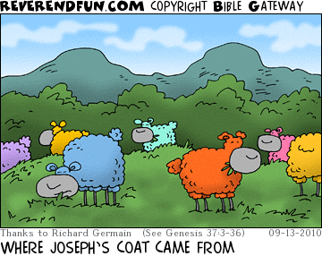 DESCRIPTION: A flock of colored sheep out in a field CAPTION: WHERE JOSEPH’S COAT CAME FROM