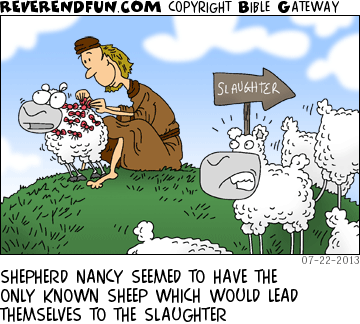 DESCRIPTION:  CAPTION: SHEPHERD NANCY SEEMED TO HAVE THE ONLY KNOWN SHEEP WHICH WOULD LEAD THEMSELVES TO THE SLAUGHTER