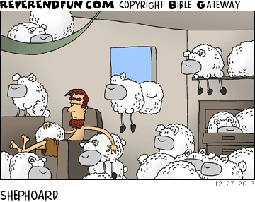 DESCRIPTION: Man with way too many sheep in his house CAPTION: SHEPHOARD