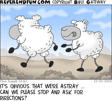 DESCRIPTION: Sheep wandering in open land CAPTION: IT'S OBVIOUS THAT WE'RE ASTRAY ... CAN WE PLEASE STOP AND ASK FOR DIRECTIONS?