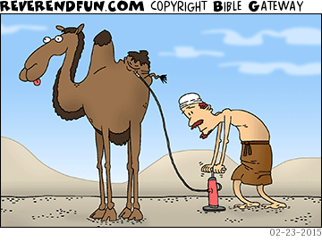 DESCRIPTION: Man pumping up a flat hump on a camel CAPTION: 