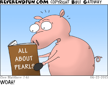 DESCRIPTION: Pig reading a book about pearls CAPTION: WOAH!